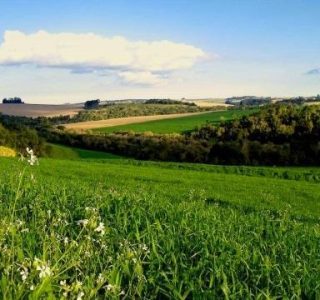 Самозахват