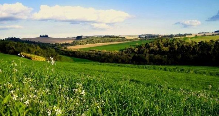 Самозахват